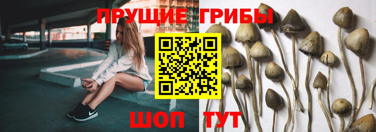 Псилоцибиновые грибы мухоморы Алексин